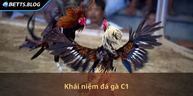 Khái niệm đá gà C1