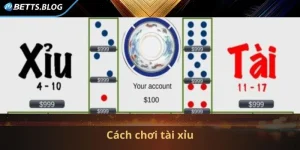 cách chơi tài xỉu